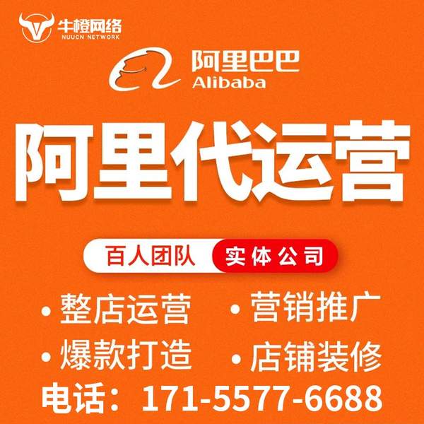 泰安电商代运营