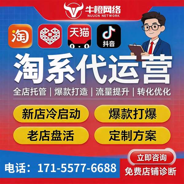 泰安电商代运营
