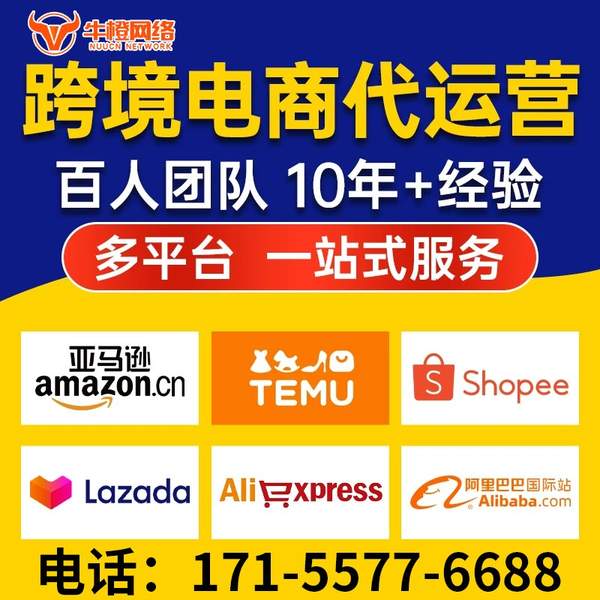 泰安电商代运营