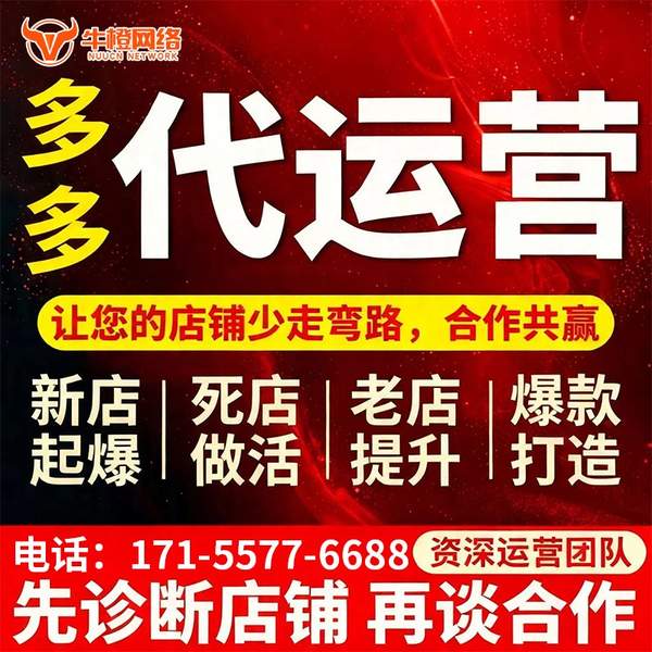 泰安电商代运营