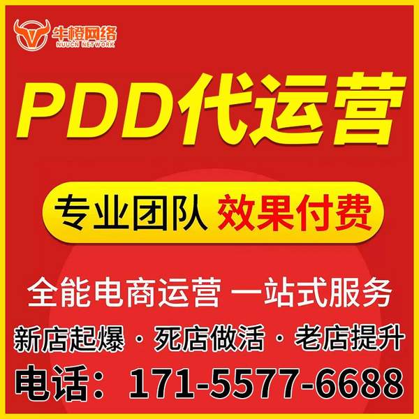 泰安电商代运营