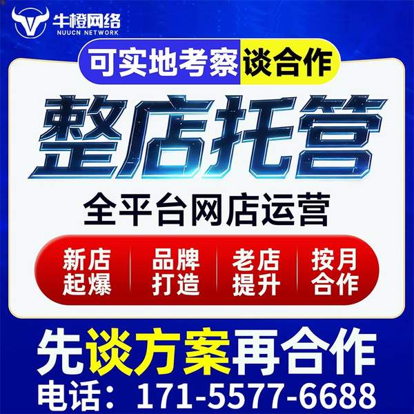 泰安电商代运营
