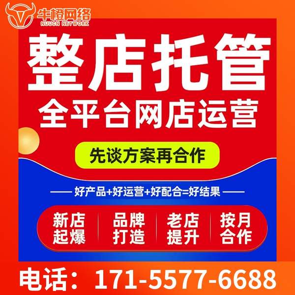 泰安电商代运营
