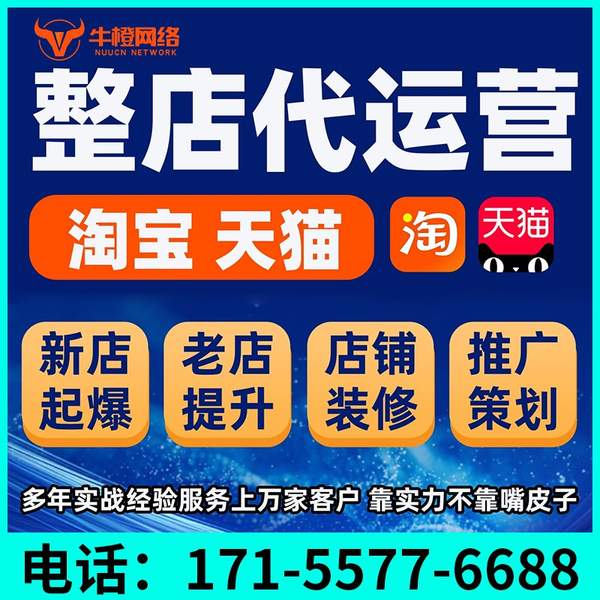 泰安电商代运营