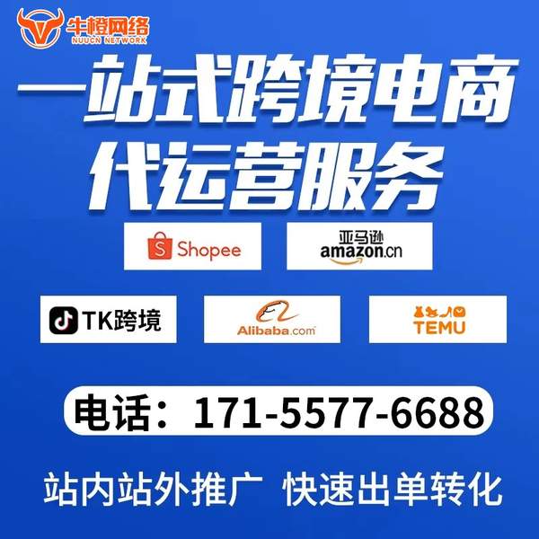 泰安电商代运营