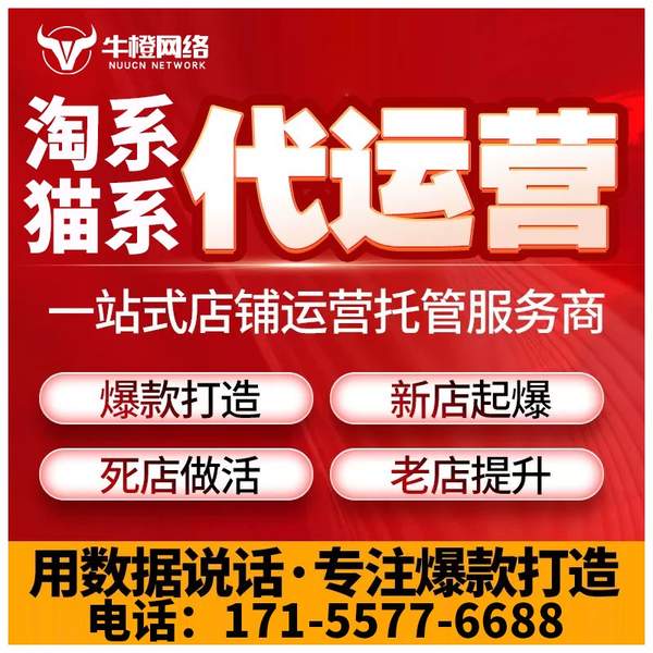泰安电商代运营